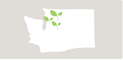 Native plants