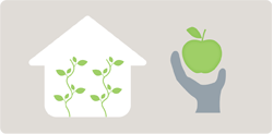 Urban agriculture