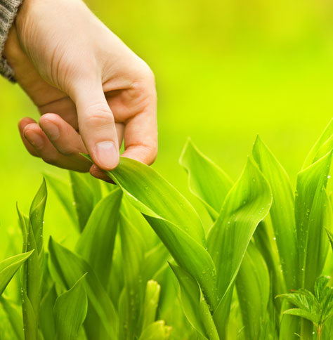 Sensible Sustainability